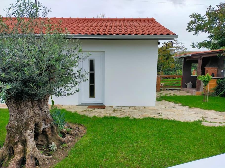 Вилла Casinha Do Rio Soure Экстерьер фото