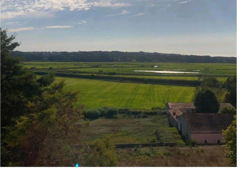 Вилла Casinha Do Rio Soure Экстерьер фото